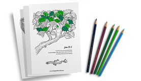 Colouring Sheets